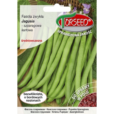 Fasola Karłowa Jagusia Bezwłóknista Nasiona